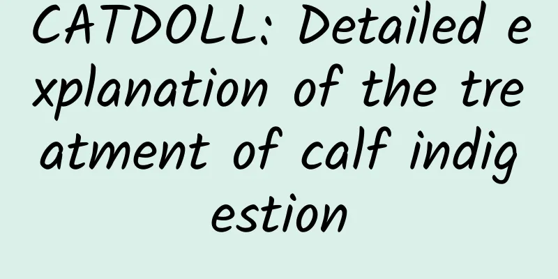 CATDOLL: Detailed explanation of the treatment of calf indigestion
