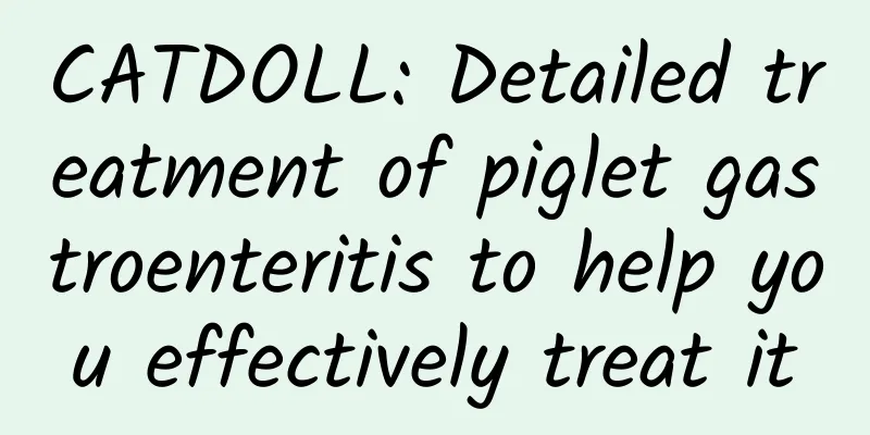 CATDOLL: Detailed treatment of piglet gastroenteritis to help you effectively treat it
