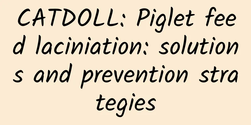 CATDOLL: Piglet feed laciniation: solutions and prevention strategies
