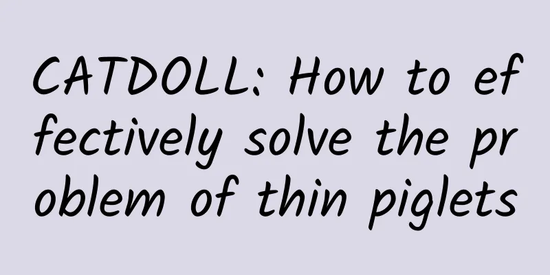 CATDOLL: How to effectively solve the problem of thin piglets