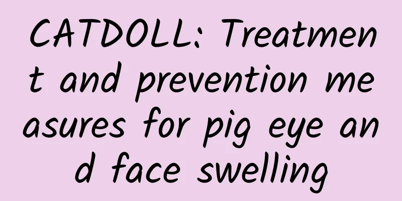 CATDOLL: Treatment and prevention measures for pig eye and face swelling