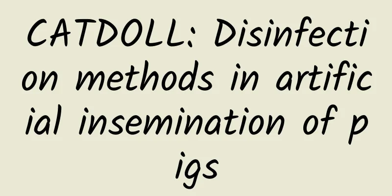 CATDOLL: Disinfection methods in artificial insemination of pigs