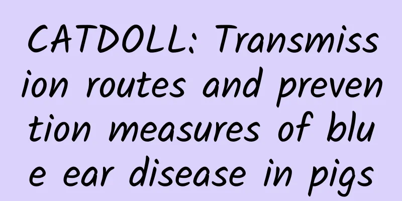 CATDOLL: Transmission routes and prevention measures of blue ear disease in pigs