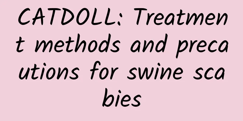 CATDOLL: Treatment methods and precautions for swine scabies