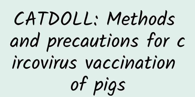 CATDOLL: Methods and precautions for circovirus vaccination of pigs