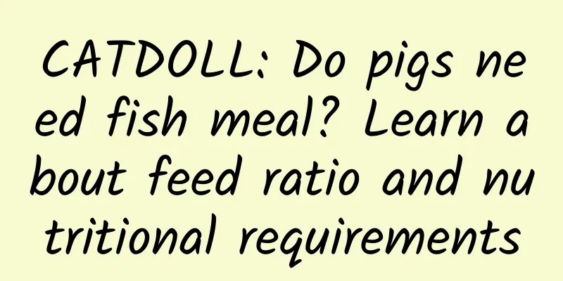 CATDOLL: Do pigs need fish meal? Learn about feed ratio and nutritional requirements