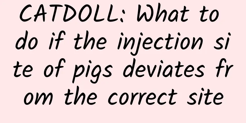 CATDOLL: What to do if the injection site of pigs deviates from the correct site