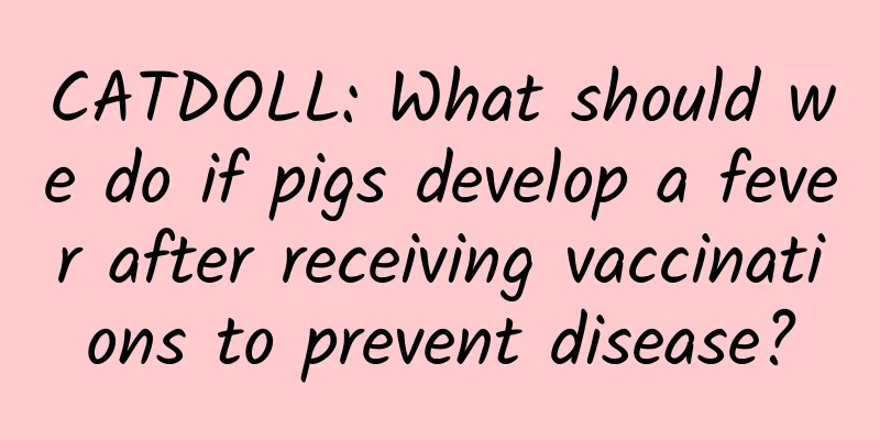 CATDOLL: What should we do if pigs develop a fever after receiving vaccinations to prevent disease?