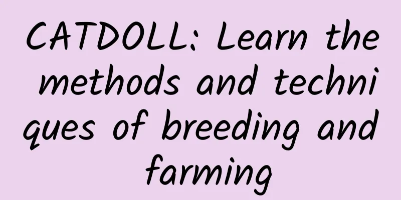 CATDOLL: Learn the methods and techniques of breeding and farming