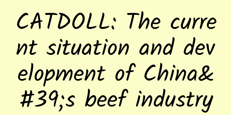 CATDOLL: The current situation and development of China's beef industry