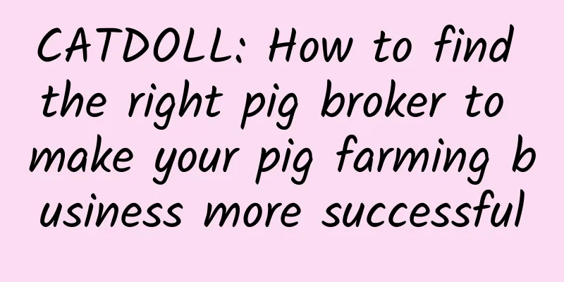 CATDOLL: How to find the right pig broker to make your pig farming business more successful