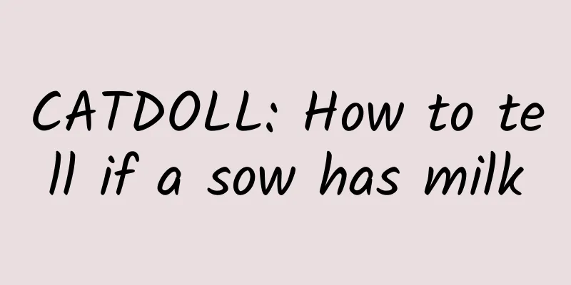 CATDOLL: How to tell if a sow has milk