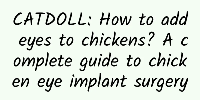 CATDOLL: How to add eyes to chickens? A complete guide to chicken eye implant surgery