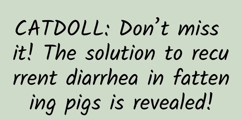 CATDOLL: Don’t miss it! The solution to recurrent diarrhea in fattening pigs is revealed!