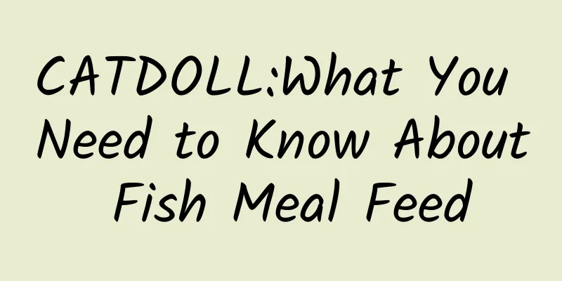 CATDOLL:What You Need to Know About Fish Meal Feed
