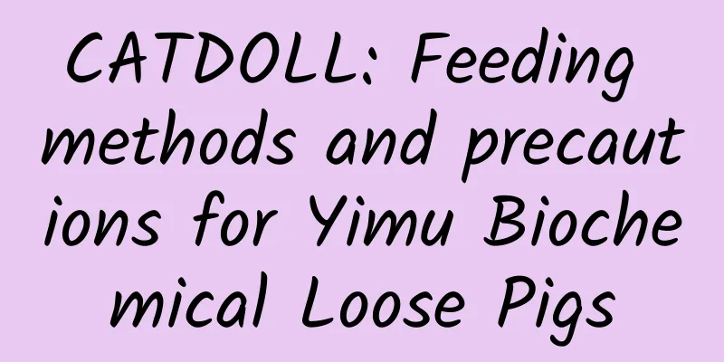 CATDOLL: Feeding methods and precautions for Yimu Biochemical Loose Pigs