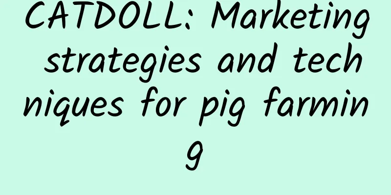 CATDOLL: Marketing strategies and techniques for pig farming