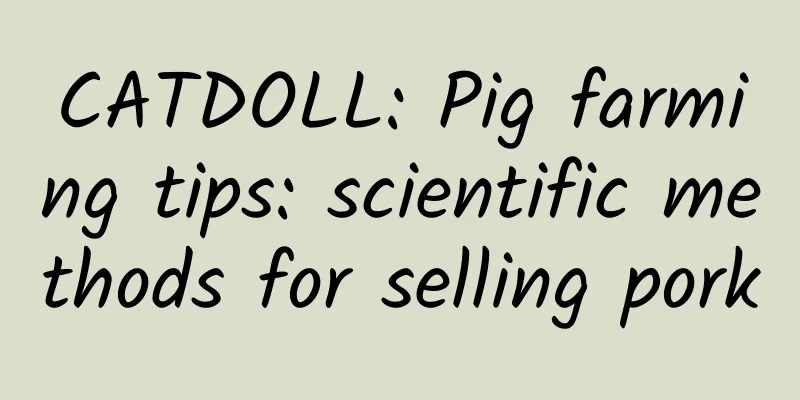 CATDOLL: Pig farming tips: scientific methods for selling pork