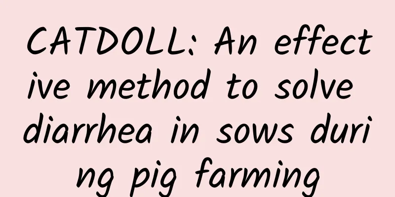 CATDOLL: An effective method to solve diarrhea in sows during pig farming