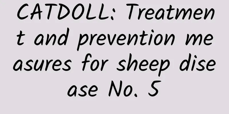 CATDOLL: Treatment and prevention measures for sheep disease No. 5