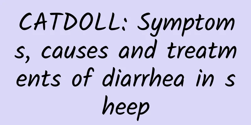 CATDOLL: Symptoms, causes and treatments of diarrhea in sheep