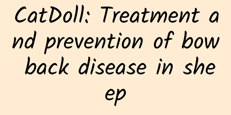 CatDoll: Treatment and prevention of bow back disease in sheep