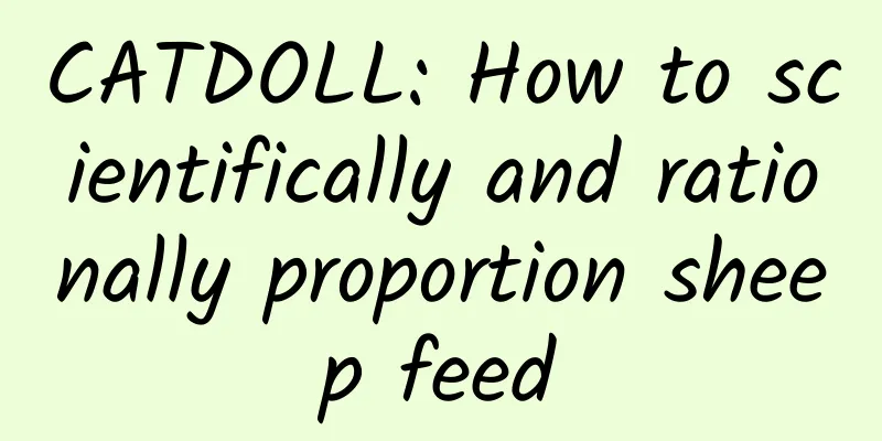 CATDOLL: How to scientifically and rationally proportion sheep feed