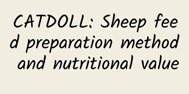 CATDOLL: Sheep feed preparation method and nutritional value