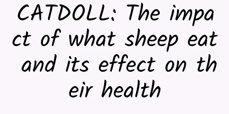 CATDOLL: The impact of what sheep eat and its effect on their health