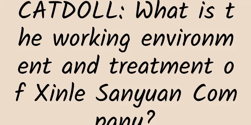 CATDOLL: What is the working environment and treatment of Xinle Sanyuan Company?