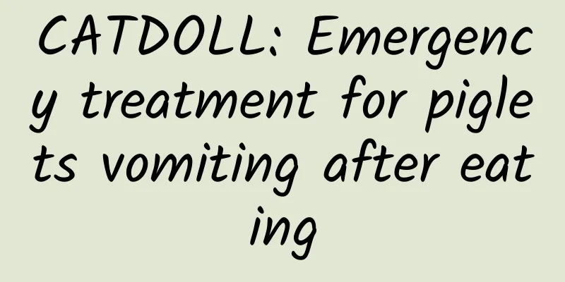 CATDOLL: Emergency treatment for piglets vomiting after eating