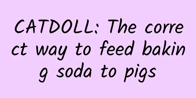 CATDOLL: The correct way to feed baking soda to pigs