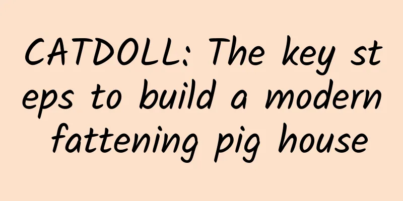 CATDOLL: The key steps to build a modern fattening pig house