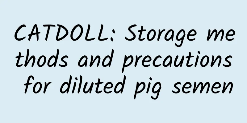 CATDOLL: Storage methods and precautions for diluted pig semen