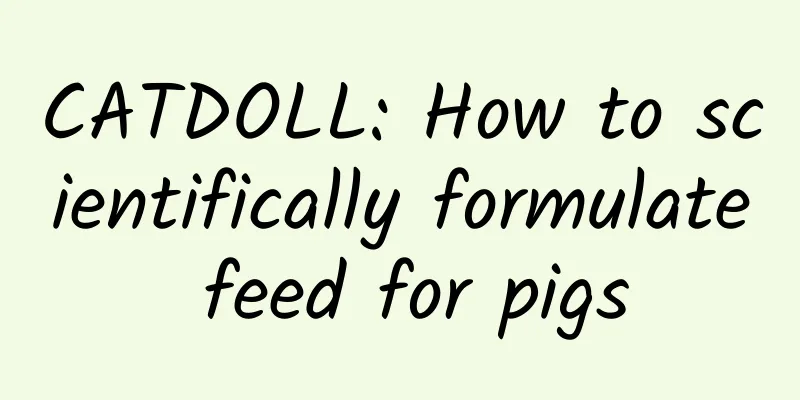 CATDOLL: How to scientifically formulate feed for pigs