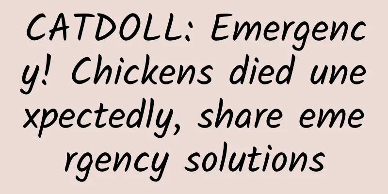 CATDOLL: Emergency! Chickens died unexpectedly, share emergency solutions