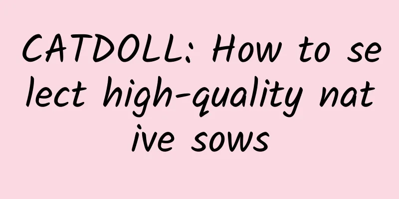 CATDOLL: How to select high-quality native sows