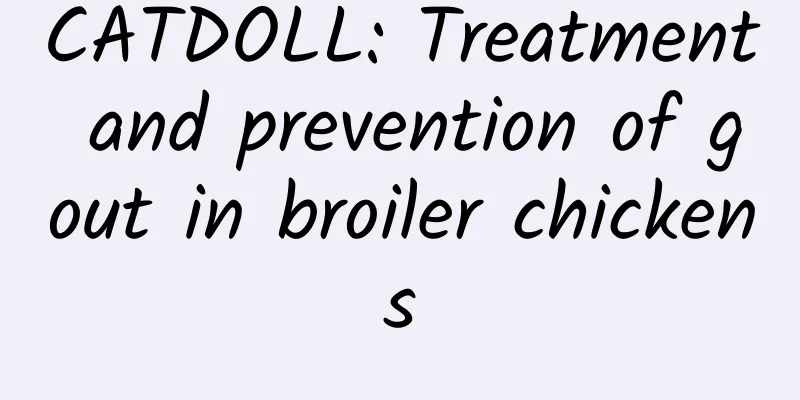 CATDOLL: Treatment and prevention of gout in broiler chickens
