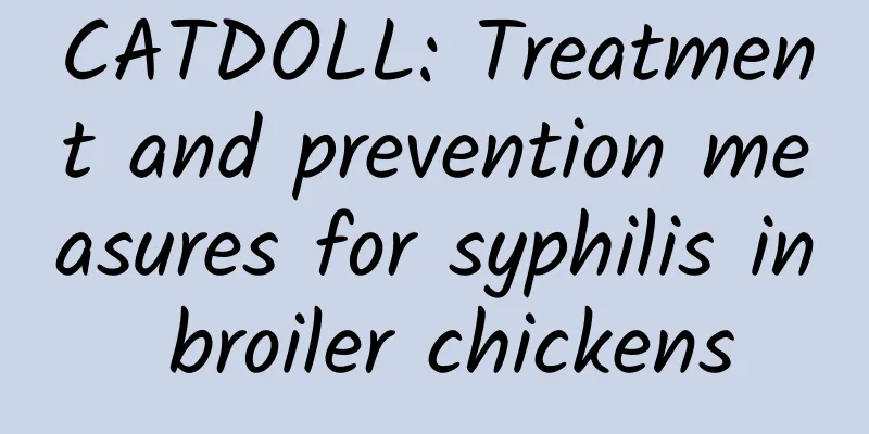 CATDOLL: Treatment and prevention measures for syphilis in broiler chickens