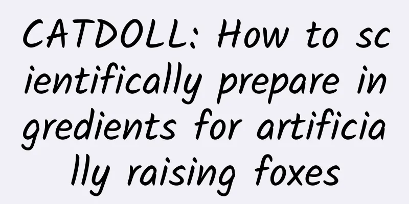 CATDOLL: How to scientifically prepare ingredients for artificially raising foxes