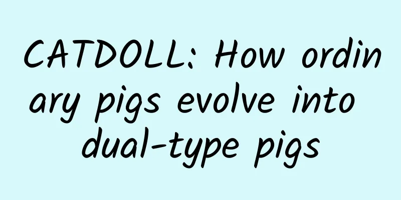 CATDOLL: How ordinary pigs evolve into dual-type pigs