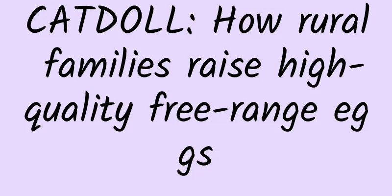 CATDOLL: How rural families raise high-quality free-range eggs