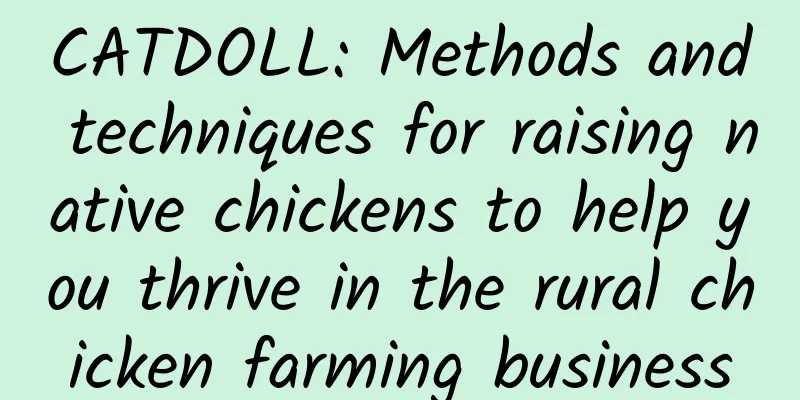 CATDOLL: Methods and techniques for raising native chickens to help you thrive in the rural chicken farming business