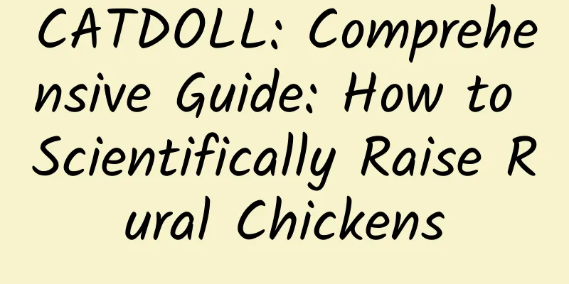 CATDOLL: Comprehensive Guide: How to Scientifically Raise Rural Chickens