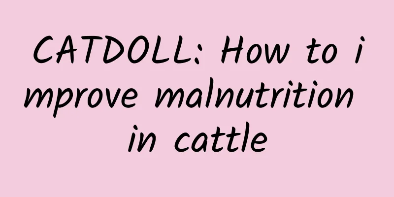 CATDOLL: How to improve malnutrition in cattle