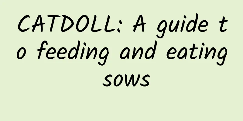 CATDOLL: A guide to feeding and eating sows
