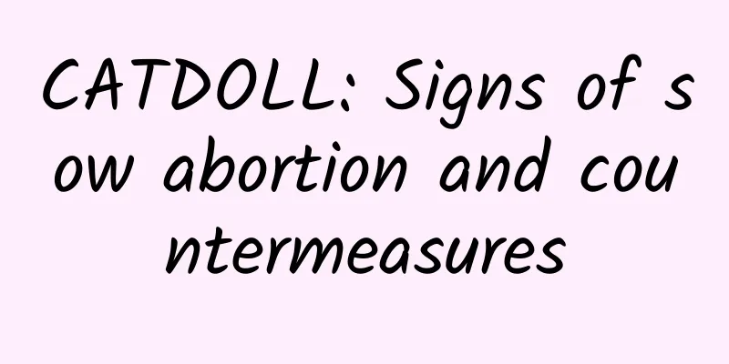 CATDOLL: Signs of sow abortion and countermeasures