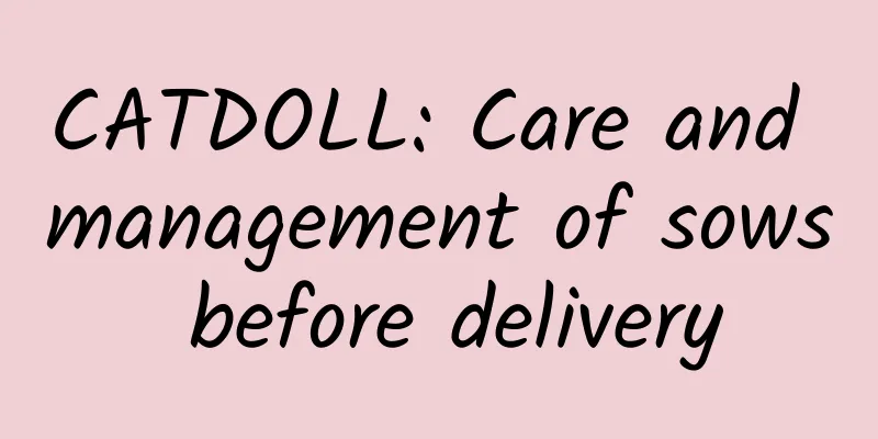CATDOLL: Care and management of sows before delivery