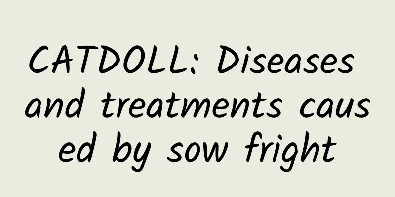 CATDOLL: Diseases and treatments caused by sow fright