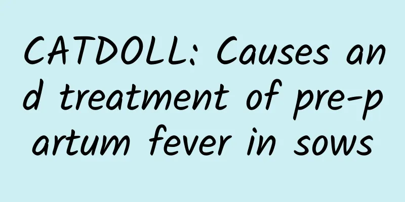 CATDOLL: Causes and treatment of pre-partum fever in sows
